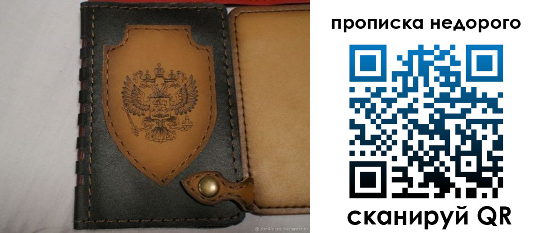 прописка для школы в Димитровграде
