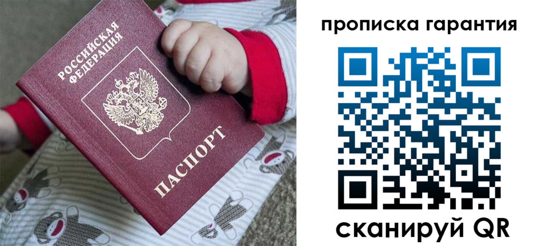 прописка гарантия в Димитровграде